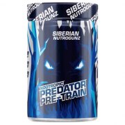 Заказать Siberian Nutrogunz Pre-train Nootropic 225 гр