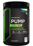 Заказать Rule 1 Pump 315 гр